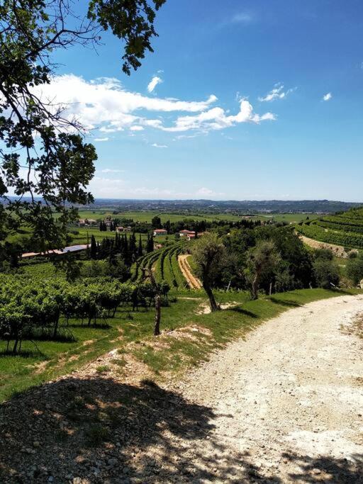 Giardino Del Borgo Appartamento Valpolicella Sant'Ambrogio di Valpolicella Exterior photo